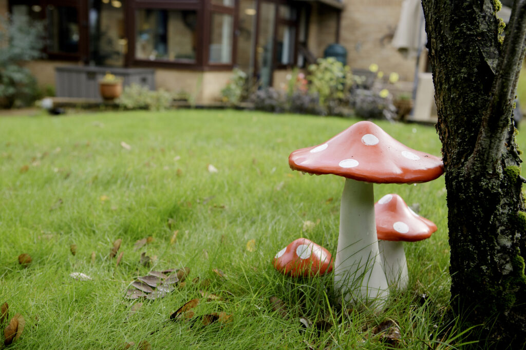 OXENFORDHSE_8-10-24_066