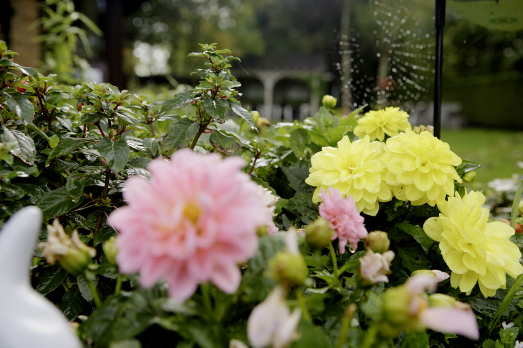 OXENFORDHSE_8-10-24_067